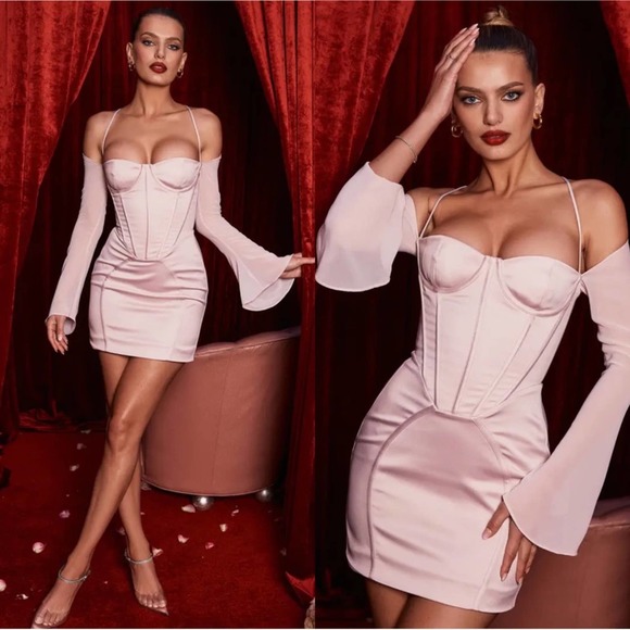 House of CB Dresses & Skirts - House of CB Isra Long Sleeve Georgette Corset Mini Dress in Crystal Pink Size S